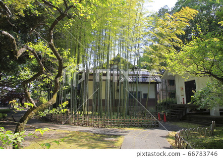 日本最早的學校足利學校 日本最早的學校足利學校 66783746
