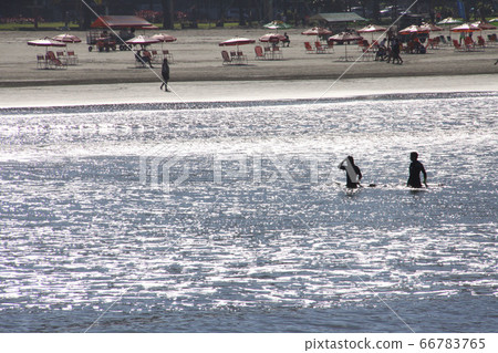 巴西夏季桑托斯海岸 66783765