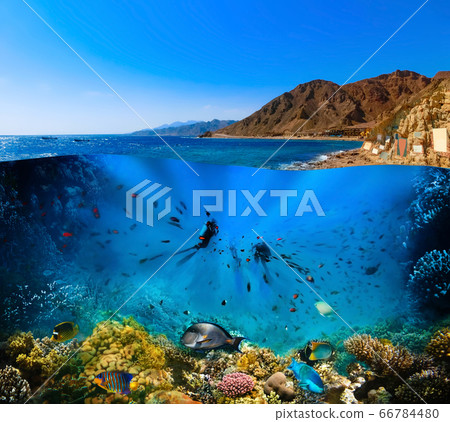 Scuba Diver over underwater canyon Scuba Diver over underwater canyon 66784480