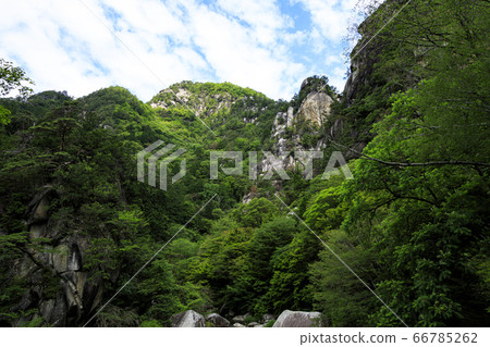Summer of Shosenkyo in the valley of fresh green and strange rocks 66785262