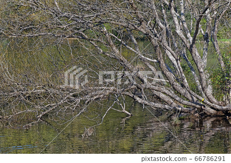 Peace Park Point View Peace Park Point View 66786291