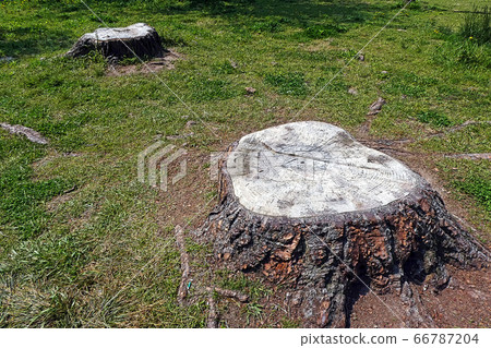 和平公園點觀 和平公園點觀 66787204