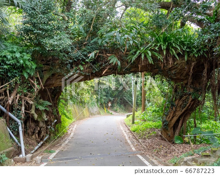 Arch of Ako Arch of Ako 66787223