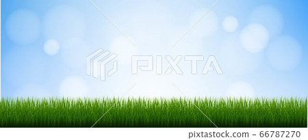 Green Grass Isolated Blue Background 66787270