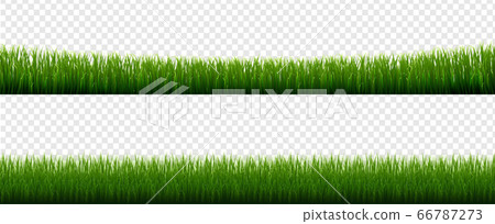 Collection Grass Border Transparent Background Collection Grass Border Transparent Background 66787273