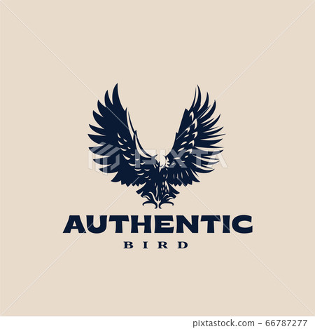 An eagle or hawk An eagle or hawk 66787277