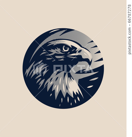 Head of an eagle Head of an eagle 66787278