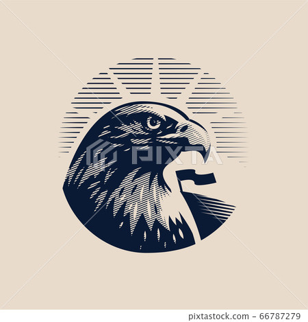 Head of an eagle 66787279