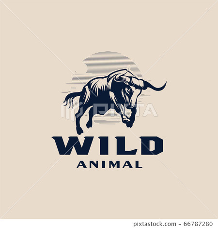 An angry bull with big horns An angry bull with big horns 66787280