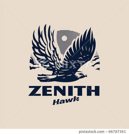 An eagle or hawk An eagle or hawk 66787361