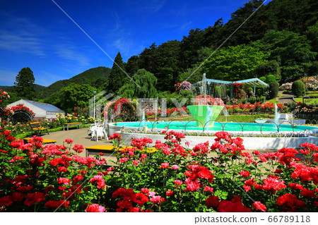Hanamaki Onsen Rose Garden in early summer 66789118