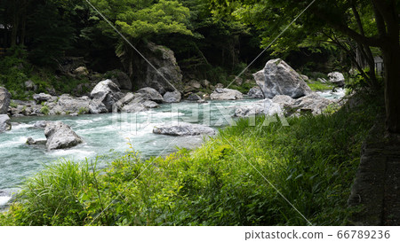 View of mountain stream 66789236