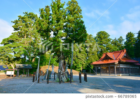 Kama Kao Miyako Arashi Shihiko Shrine Haiden Nanao City Kama Kao Miyako Arashi Shihiko Shrine Haiden Nanao City 66789365