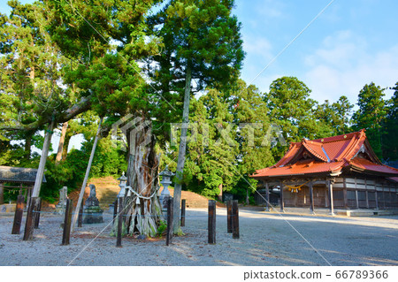 Kama Kao Miyako Arashi Shihiko Shrine Haiden Nanao City 66789366