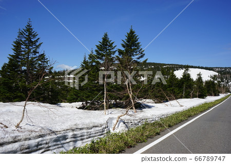 春季從八man平Aspieteline看到的風景 66789747
