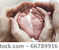 Baby Feet in Parent Hands	 66789916