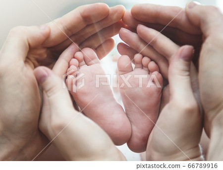 Baby Feet in Parent Hands	 66789916