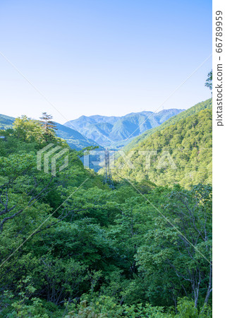 三國隧道前的群馬縣17號公路沿線的新鮮綠色景觀 三國隧道前的群馬縣17號公路沿線的新鮮綠色景觀 66789959