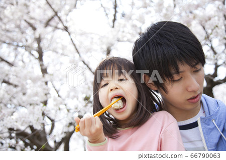 父母和孩子觀賞鮮花 父母和孩子觀賞鮮花 66790063