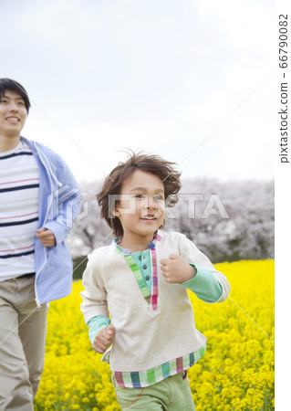 父母和孩子在油菜田中奔跑 父母和孩子在油菜田中奔跑 66790082