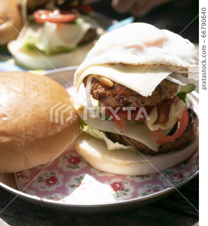 Handmade delicious outdoor food [handmade hamburger] 66790640