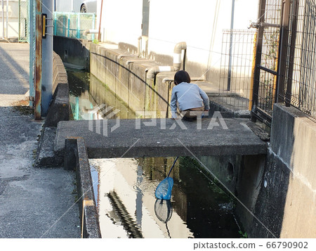 孩子們在水道中捉昆蟲和魚 孩子們在水道中捉昆蟲和魚 66790902