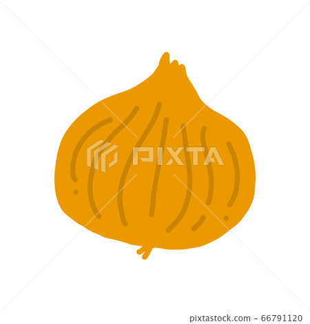 Onion illustration icon 66791120