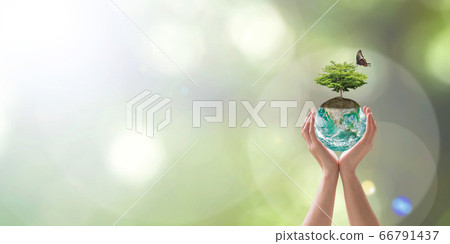 World environment day with tree planting and green planet earth on volunteering protection hands for go green and saving ecology, eco-friendly concept. Element of the image furnished by NASA World environment day with tree planting and green planet earth on volunteering protection hands for go green and saving ecology, eco-friendly concept. Element of the image furnished by NASA 66791437
