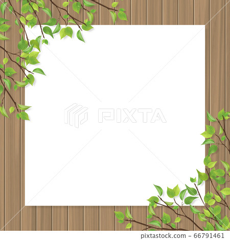 Frame of fresh green leaves Frame of fresh green leaves 66791461