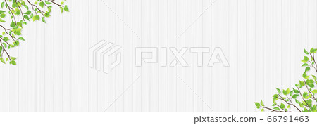 Frame of fresh green leaves White plate 66791463