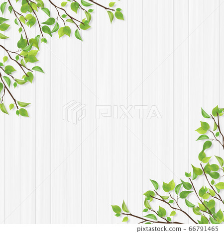 Fresh green frame Shiraki 66791465