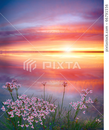 Stunning sunset on the lake with white Stunning sunset on the lake with white 66791556