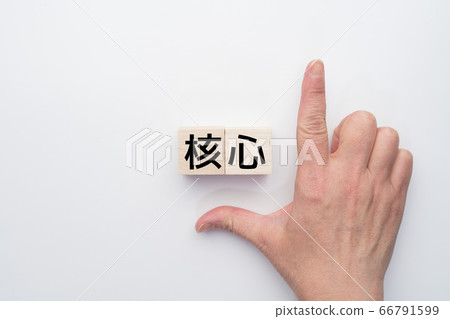 影像核心 影像核心 66791599