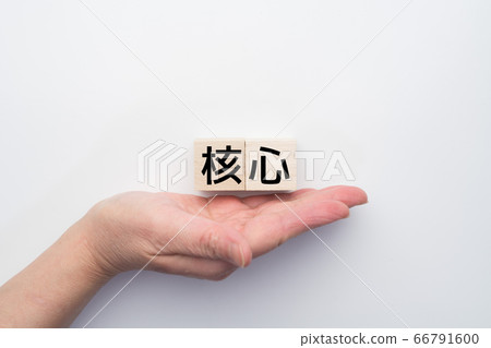影像核心 影像核心 66791600
