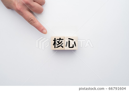 影像核心 影像核心 66791604