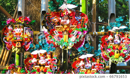 Sa玉縣川口市公雞市場（岡美市）的風景 66791653