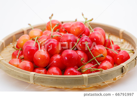 在白色背景b-1上的櫻桃 66791997