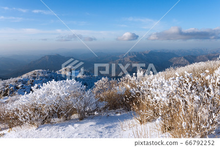 Deokyusan Snow Scene... Hyangjeokbong Road Deokyusan Snow Scene... Hyangjeokbong Road 66792252