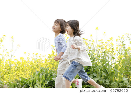 孩子們跑油菜田 孩子們跑油菜田 66792630