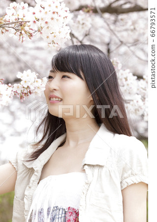 小櫻和女 66793571