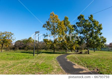 Mizumoto Park Autumn leaves 66793750