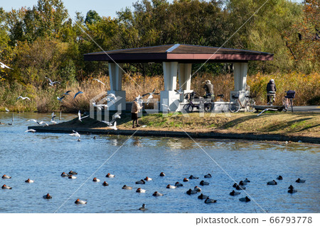 Mizumoto Park Autumn leaves Mizumoto Park Autumn leaves 66793778