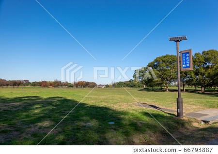 Mizumoto Park Autumn leaves 66793887