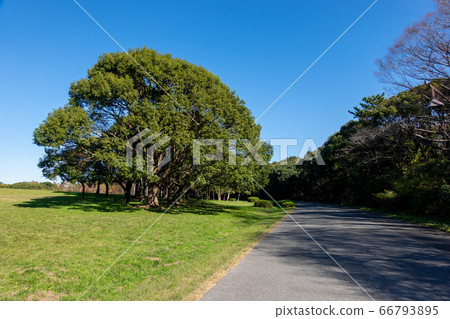 Mizumoto Park秋葉 Mizumoto Park秋葉 66793895