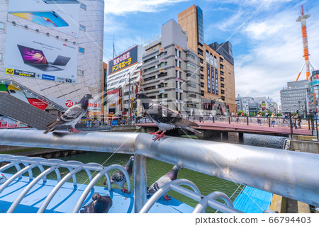 Yokohama cityscape in Japan, around Yokohama station, with views of pigeons, Minamiyukibashi, Yokohama Vivere, etc. Yokohama cityscape in Japan, around Yokohama station, with views of pigeons, Minamiyukibashi, Yokohama Vivere, etc. 66794403