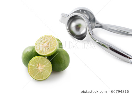 stainless Squeezer with lemon sliced on white background stainless Squeezer with lemon sliced on white background 66794816