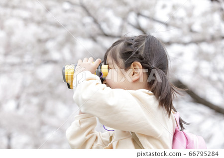 A girl looking at binoculars 66795284