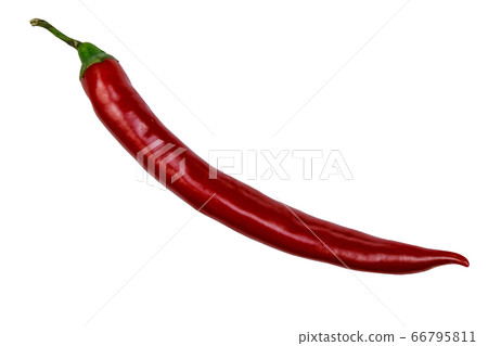 Red hot chili pepper isolated on a white 66795811