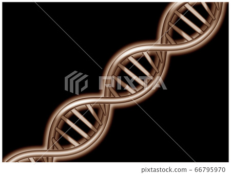 Image of DNA spiral 66795970