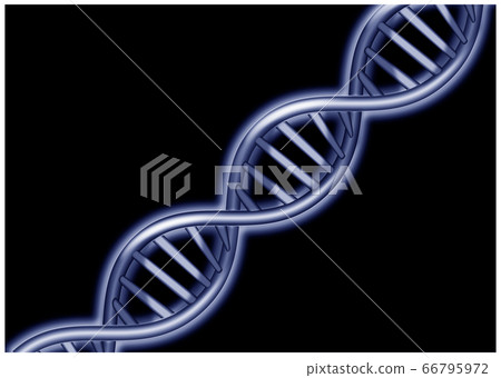 DNA螺旋圖像 66795972